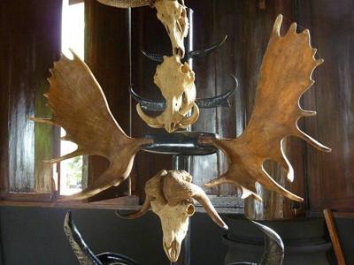 13 Antelope Skeleton, Black House, Chiang Rai