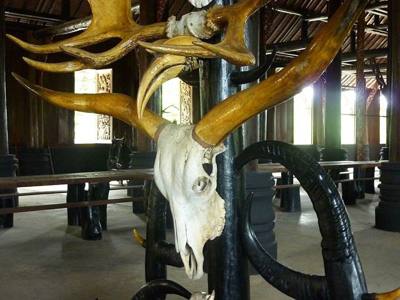 14 Ox Skeleton, Black House, Chiang Rai