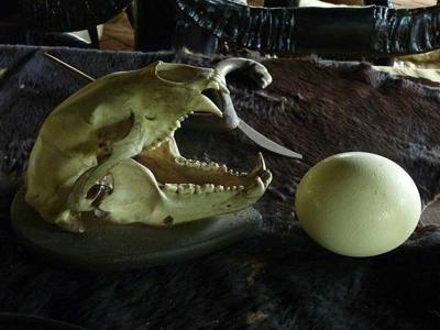 18 Skull and Egg, Black House, Chiang Rai