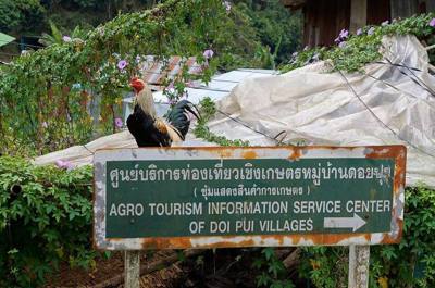 A village in Doi Suthep-Pui National Park, Thailand