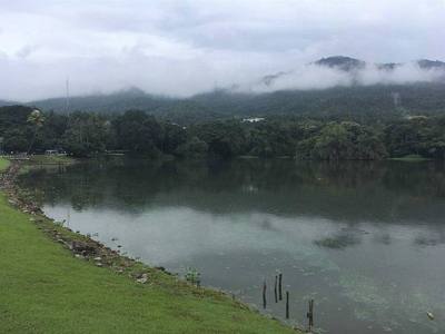 The Ang Kaew reservoir at Chiang Mai University.