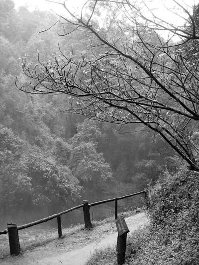 บริเวณน้ำตกวชิรธาร : Around The Wachirathan Waterfall