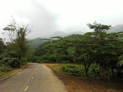 Ban Du, Mueang Chiang Rai District, Chiang Rai 57100, Thailand