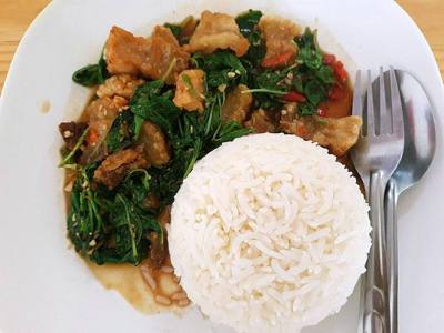Basil fried crispy pork with rice (ข้าวกะเพราหมูกรอบ) as sold in Chiang Mai, Thailand.