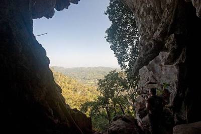 Bat cave, Chiang Dao