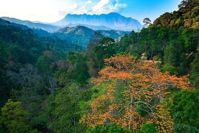 Aerial shot of the Chiang Dao landscape, Thailand