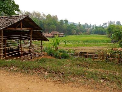 Chiang Mai, 2016 april