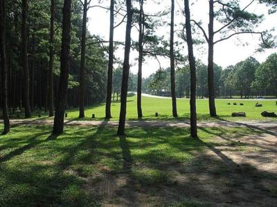 Pine forests along road number 108 in Chiang Mai province; between Hot and Mae Sariang, near the intersection towards Omkoi.