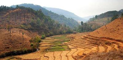Rice paddies and recently cleared forest land in Amphoe Mae Chaem, along road 1263 between the town of Khun Yuam (Mae Hong Son province) and the town of Mae…