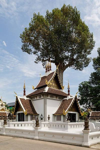 Chiang Mai, Thailand: Chiang Mai City Pillar shrine