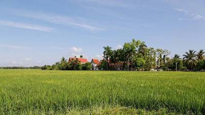 Choeng Doi, Doi Saket District, Chiang Mai, Thailand: Wat Pho Thong Charoen