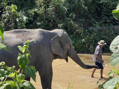 Elefante y cuidador en santuario de Mae Wang - Mae Win, Ciudad de Chiang Mai, Tailandia. Octubre 18, 2025