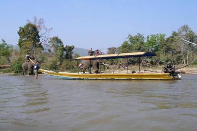 Elephants. Kok River, Chiang Rai, Thailand.
