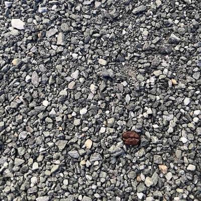 loose crushed gravel, dominant stones at or below coffee-bean size (~8 mm)