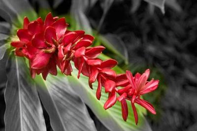 Sometimes too much colour can be a distraction... Needs additional description