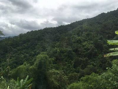 View from Thailand Route 1095 in Mae Taeng District, Chiang Mai Province.