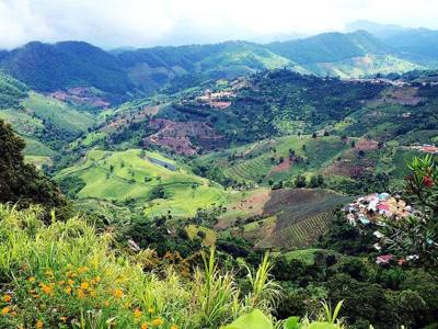 Green mountains in Ban Ho Mae Salong, Chiang Rai, Thailand. Santikhiri (Thai: สันติคีรี), formerly known as Mae Salong (Thai: แม่สลอง).