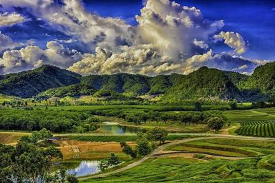 hills & tea farms of Chiang Rai