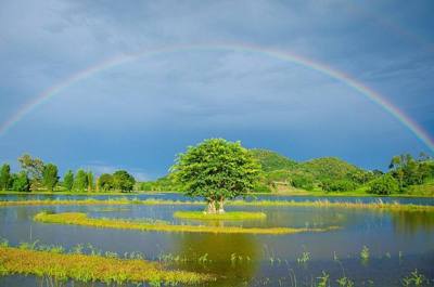 Huai Sak, Mueang Chiang Rai District, Chiang Rai, Thailand