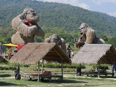 In Huai Tueng Thao, Mae Rim, Provincie Chiang Mai in Thailand is een stuwmeer een plek met veel hutjes langs het water. Daar wordt vooral in de weekenden…