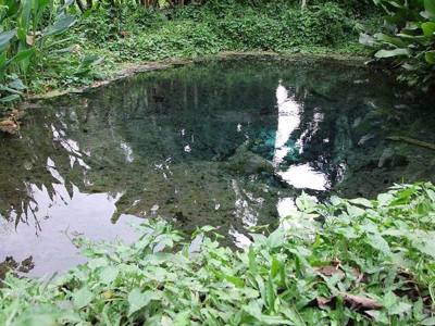 น้ำพุเจ็ดสี Jedsee Fountain Forest Park