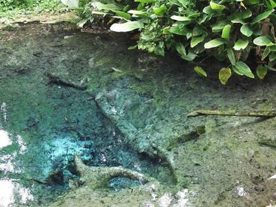 น้ำพุเจ็ดสี Jedsee Fountain Forest Park