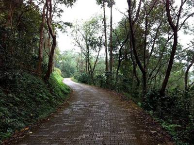 Mae Fa Luang, Mae Fa Luang District, Chiang Rai, Thailand