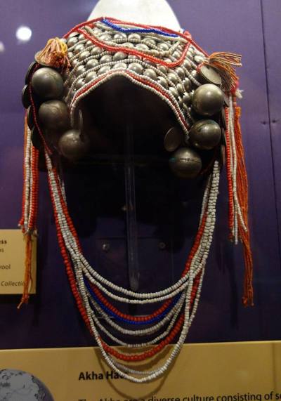 Exhibit in the Fernbank Museum of Natural History, Atlanta, Georgia, USA. Photography was permitted in the museum without restriction.