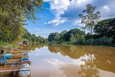 Ping River (Thai: แม่น้ำปิง, RTGS: Maenam Ping, pronounced [mɛ̂ː.náːm pīŋ]), along with the Nan River, is one of the two main tributaries of the Chao Phraya…