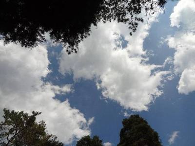 Queen Sirikit Botanic Gardens (18)