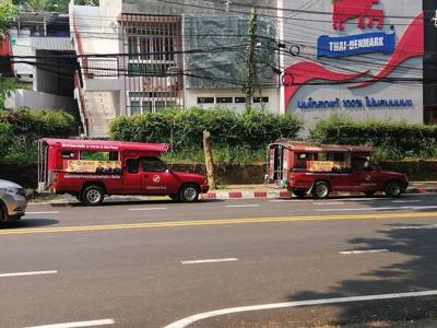 Red Car Chiang Mai queue in front of Chiang Mai Zoo