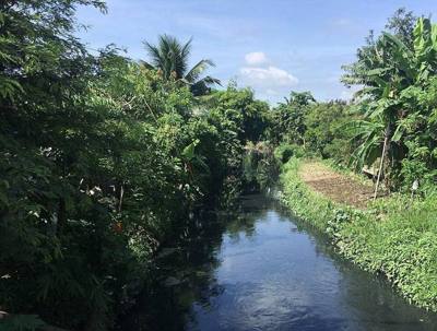 Small river in Chiang Mai.