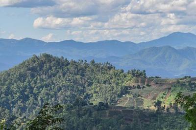 Samdeng Forest in Chiang Mai Province, Thailand