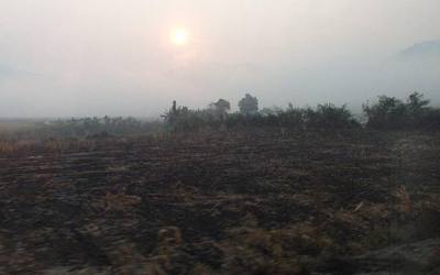 Sathan, Chiang Khong District, Chiang Rai 57140, Thailand