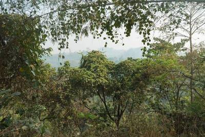 Nature of Si Kham, Mae Chan District