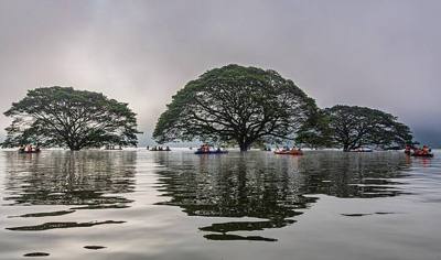 A group of tourists in small boats gathers around giant rain trees. The wide branches of the central tree cast a perfect reflection onto the calm water's…