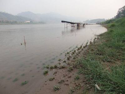 Wiang, Chiang Khong District, Chiang Rai 57140, Thailand