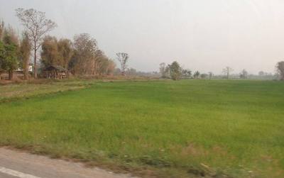 Wiang, Chiang Khong District, Chiang Rai 57140, Thailand