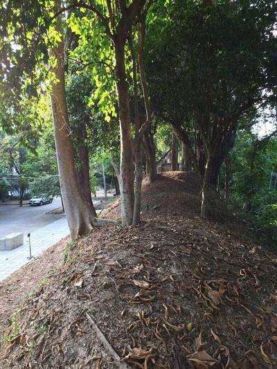 Wiang Suan Dork Earth Wall North showing Faculty of Pharmacy, Chiang Mai University, at left.