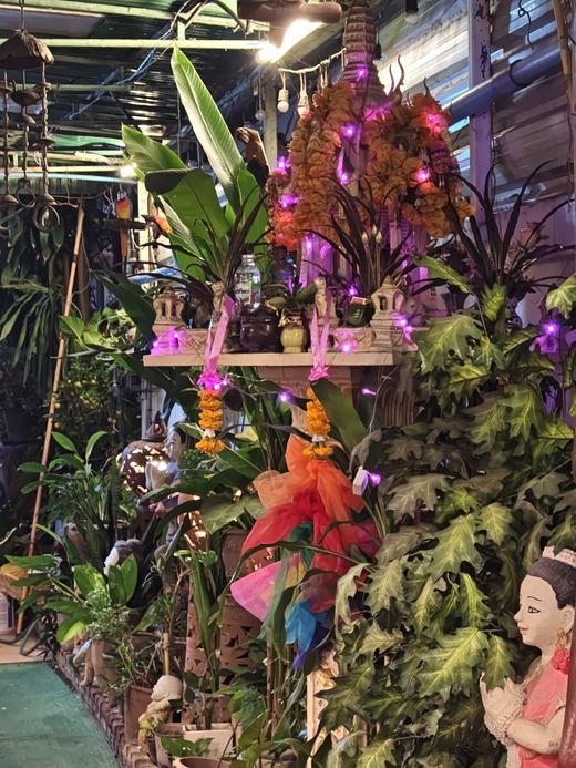 The Garden at night: orchids, a statue, purple fairy lights
