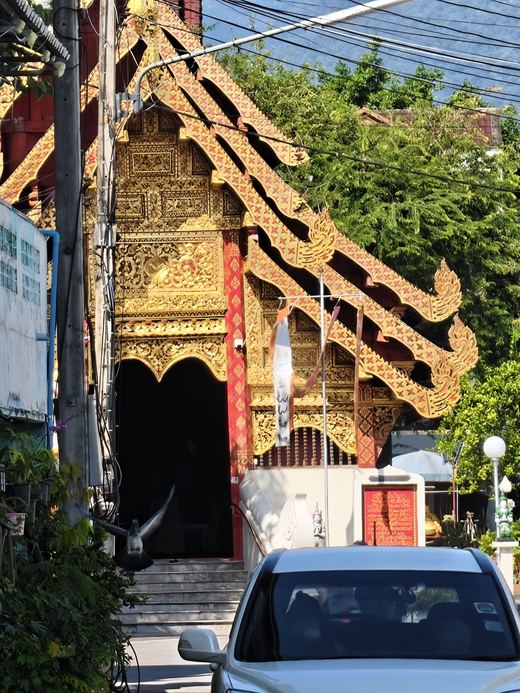 Wat Muen Ngoen Kong: the viharn's gold gable and naga bargeboards, a pigeon crossing