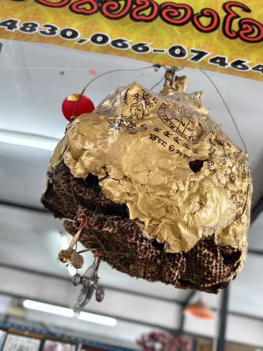 A gold-leafed wasp nest hung as a charm, a red lantern beside it