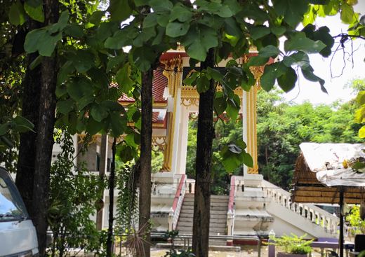 A wat's white naga stairway seen through tree trunks