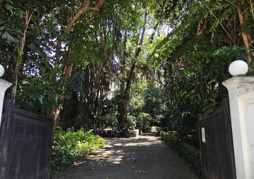 The EFEO's open gate: a shaded drive under bamboo and old trees