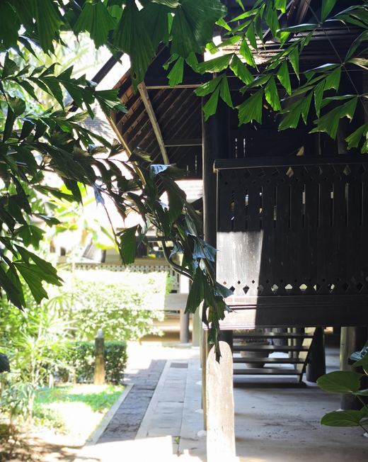 A dark teak stilt house half hidden by leaves in the EFEO compound
