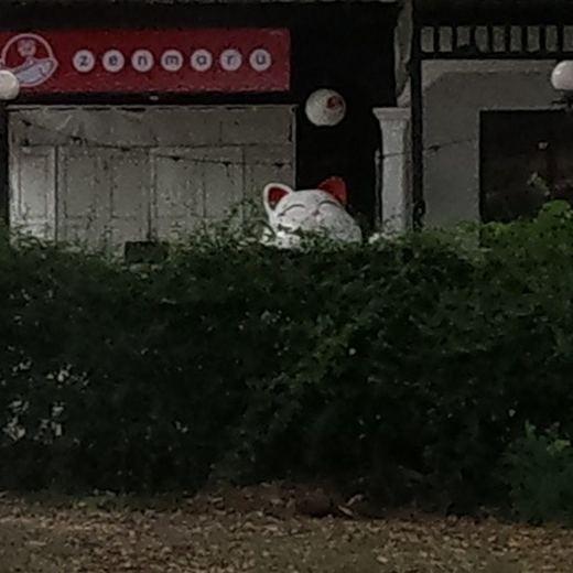 Giant lucky cat peeking over the hedge