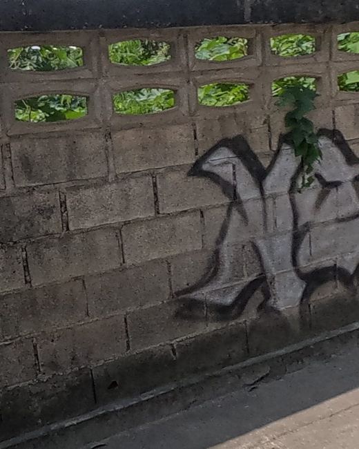 Graffiti tag on a compound wall