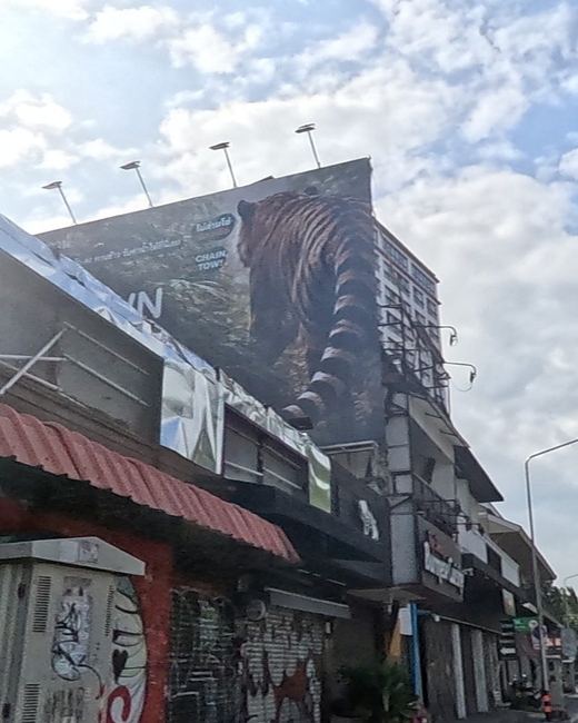 Giant tiger mural over the moat road