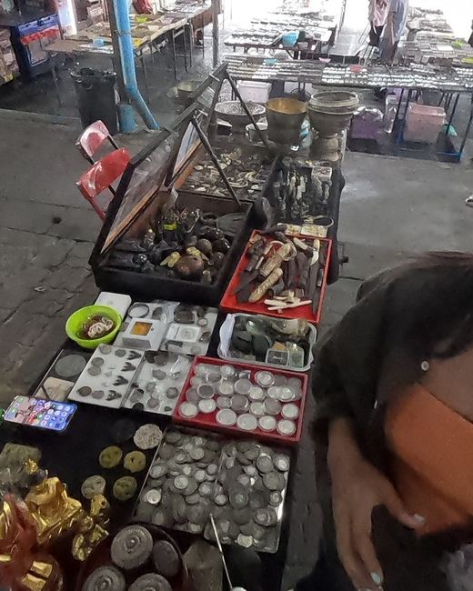 Carved tusks, bone-handled knives and old coins