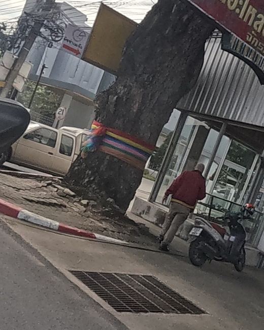 Rainbow cloth wrapped around a giant roadside tree